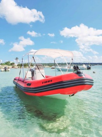 Zodiac Cadet Pro 420