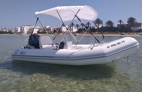 Zodiac Cadet Rib 390