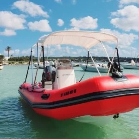Zodiac Pro 500